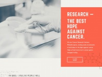 cancerresearchfdn.org Thumbnail