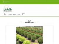 Staubin.com