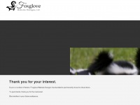 Foxglovewebsitedesigns.com