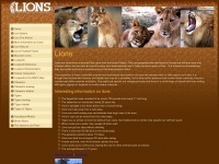 lions.org Thumbnail