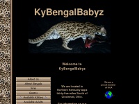 kybengalbabyz.com