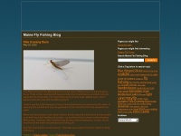 Maineflyfishing.com
