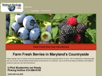 strawberryfarm.com Thumbnail