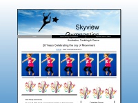 skyviewgymnastics.com Thumbnail