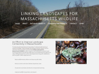 Linkinglandscapes.info