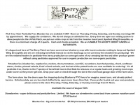 theberrypatch.net Thumbnail