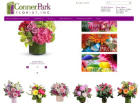 connerpark.com Thumbnail