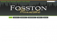 fosston.com