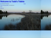 toddbits.com Thumbnail