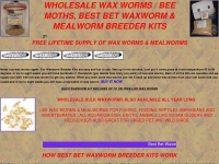 Waxwormkit.com