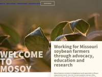 mosoy.org
