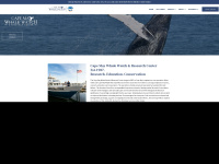 capemaywhalewatch.com Thumbnail