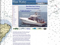 bluewaterfishing.net Thumbnail