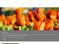 tuliptime.com