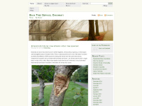treeservicecincinnati.wordpress.com Thumbnail