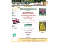 Musserforests.com
