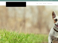 Petcaregroup.com
