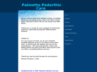 palmettopedorthic.com