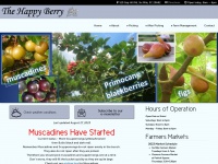 thehappyberry.com Thumbnail