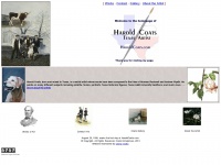 Haroldcoats.com
