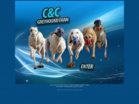 racinggreyhound.net