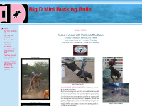 minibuckingbull.com Thumbnail