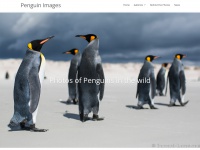 penguinimages.com Thumbnail