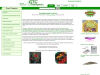 gtghydroponics.com Thumbnail