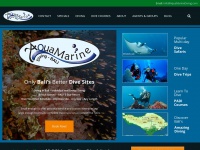 aquamarinediving.com