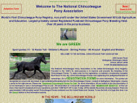 pony-chincoteague.com Thumbnail