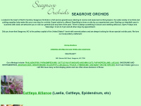 seagroveorchids.com Thumbnail