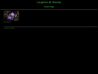 laughtonstanley.com