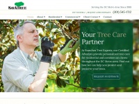 branchestreeexperts.com Thumbnail