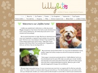Lillybits.com