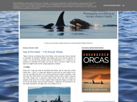 orcawatcher.com Thumbnail