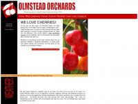 olmsteadorchards.com Thumbnail