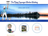 Theflyingsqueegee.com