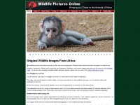 Wildlife-pictures-online.com