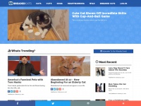 breadedcats.com
