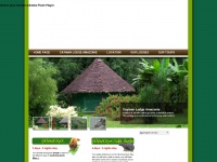 cayman-lodge-amazonie.com Thumbnail