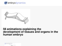 embryodynamics.com