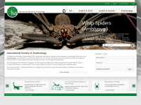 Arachnology.org
