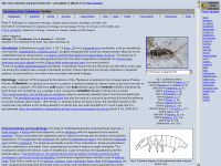collembola.org