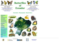 Butterfliesofecuador.com