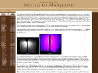 marylandmoths.com Thumbnail
