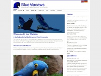 bluemacaws.org Thumbnail