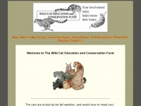 wildcatfund.org