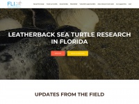 floridaleatherbacks.com Thumbnail