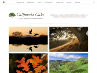 californiaoaks.org Thumbnail