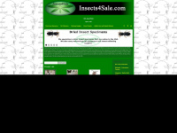 insects4sale.com Thumbnail